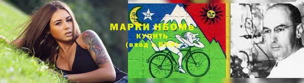 стаф Алзамай