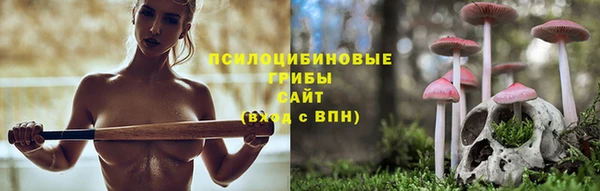 амф Алексеевка