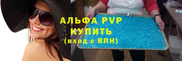 стаф Алзамай