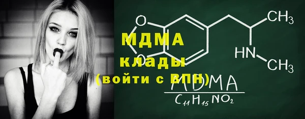 стаф Алзамай