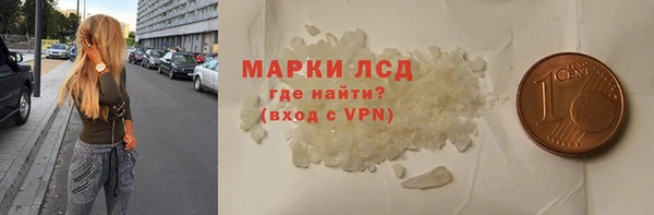стаф Алзамай