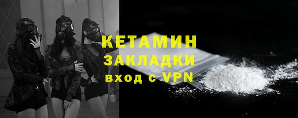 стаф Алзамай