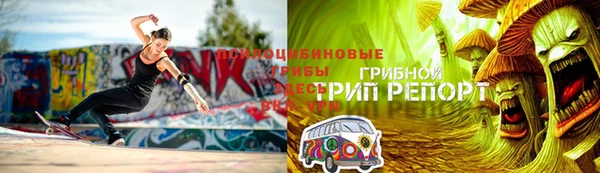 стаф Алзамай