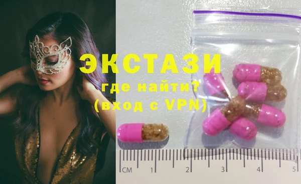 стаф Алзамай